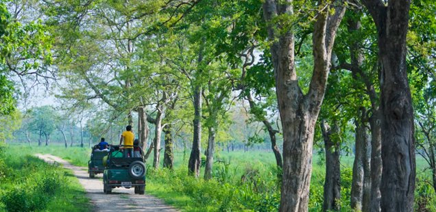 kaziranga tour 2n